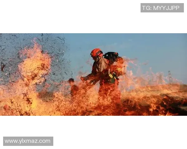 堪萨斯城与芝加哥火焰的激烈对决谁能笑到最后