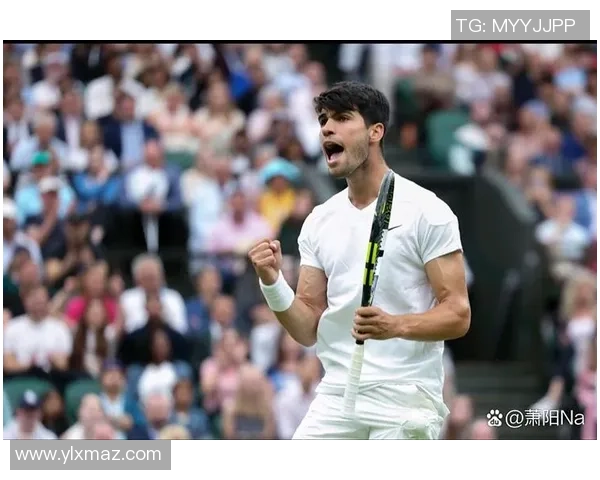 费德勒与佩拉的精彩对决：网球场上的巅峰对抗与技术较量