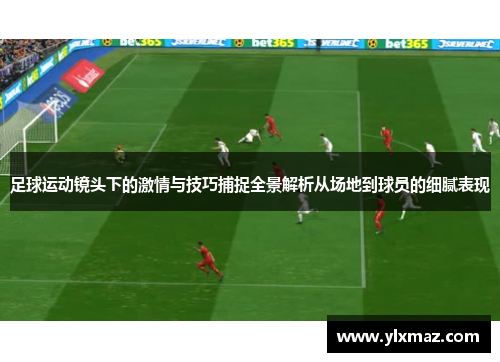足球运动镜头下的激情与技巧捕捉全景解析从场地到球员的细腻表现