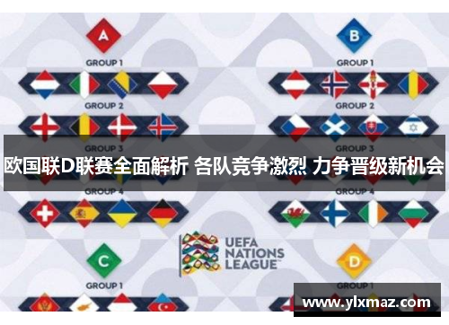 欧国联D联赛全面解析 各队竞争激烈 力争晋级新机会