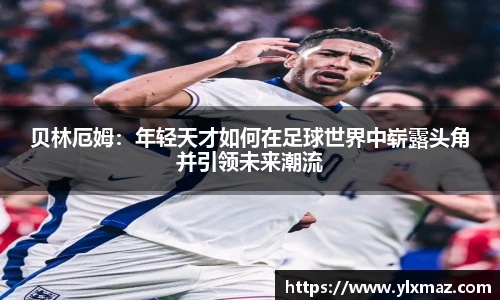 DB电竞手机最新版本